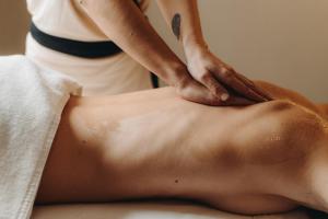 Lázně a/nebo wellness v ubytování Le Refuge Chez La Tante - Mont d'Arbois, ski in - ski out