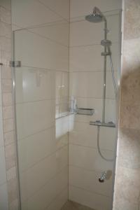 a shower with a glass door in a bathroom at Wir Beide in Elten