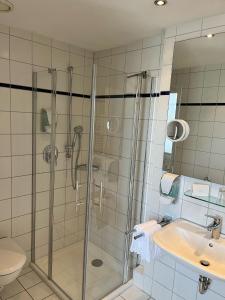 a bathroom with a shower and a sink at Fichtelgebirgshof in Himmelkron