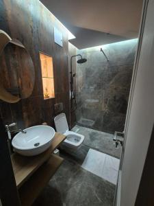 un bagno con wc, lavandino e doccia di Alpasio Rentals 3 a Galaţi