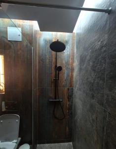 bagno con doccia, servizi igienici e lampada di Alpasio Rentals 3 a Galaţi