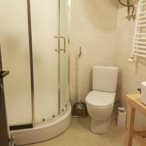 een badkamer met een toilet en een douche bij Ski Resort Bakuriani in Bakuriani +13 foto's