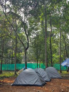 Ảnh trong thư viện ảnh của The Kadu ở Tāzhekkod