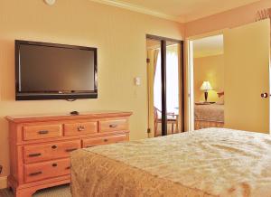 舊金山的住宿－哥倫布酒店，一间卧室配有一张床、一台电视和一个梳妆台