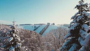 een groep bomen met sneeuw erop bij Harz BnB Werkmeister in Sankt Andreasberg