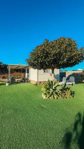 a yard with a tree and two chairs and a house at Palmaradise in El Palmar
