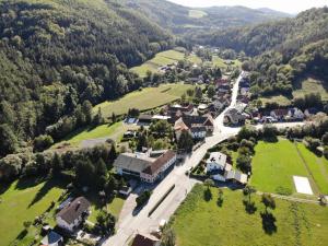 an aerial view of a village in the mountains at Kremstalhof in Gföhl