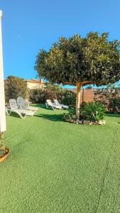 two lawn chairs and a tree in a yard at Palmaradise in El Palmar