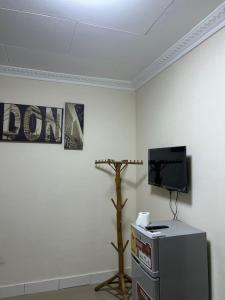 a room with a television and a tree in it at Adelpha 101 in Accra