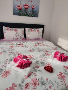 Photo de la galerie de l'établissement Apartman LARA, à Pirot