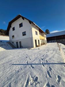 ,,Hase" trong mùa đông