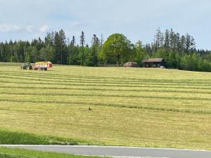 a large field with a tractor in the middle of it at Schwaigerhof in Wackersberg