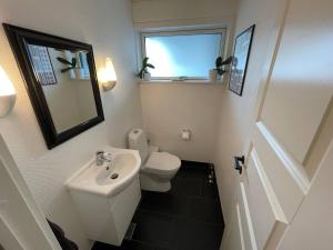 a bathroom with a toilet and a sink and a mirror at Skovbrynets guesthouse in Herning
