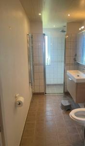 a bathroom with a shower and a toilet at Fritidslägenhet Hyltebruk in Hyltebruk
