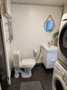 a bathroom with a toilet and a sink and a mirror at Villa salonkylä in Joensuu +15 photos