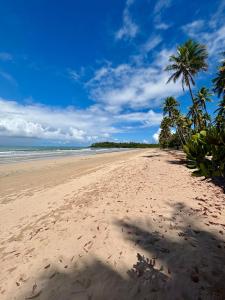 a sandy beach with a palm tree and the ocean at Taboca Chalé na Rua do Serrão in Cairu