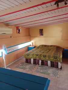 een slaapkamer met een bed in een kamer bij Chez Brahim in Pointe-à-Pitre