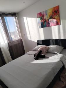 Giường trong phòng chung tại Superbe Appartement !