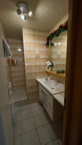 Koupelna v ubytování Profiter du calme de la montagne vosgienne + 8 fotografií