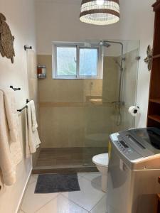 a bathroom with a shower and a toilet at Las Terrenas, La Fenice, Playa Popy in Las Terrenas