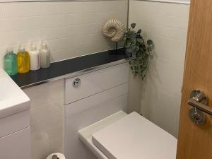 een badkamer met een toilet en een plant op een plank bij The Howff in Anstruther