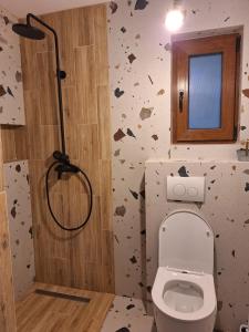 a bathroom with a toilet and a wall with butterflies at Casa Delia in Balta +22 photos