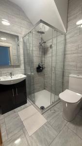 a bathroom with a shower and a toilet and a sink at Tipperary Town House in Tipperary +12 photos