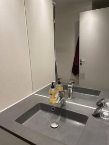 a bathroom sink with a mirror and a soap dispenser at Lake view, private balcony in Skanderborg +5 photos