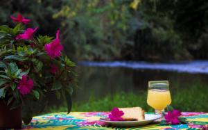 a table with a plate of cake and a glass of orange juice at Hospedaria Solar De Morretes in Morretes