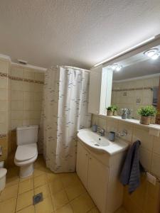 a bathroom with a toilet sink and a shower curtain at The Allatini project Thessaloniki- Part of P STAYS COLLECTION in Thessaloniki