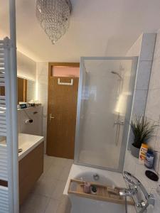 een badkamer met een wastafel en een douche. bij Blick auf Bautzen in Doberschau +12 foto's