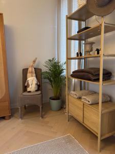 una stanza con libreria, sedia e pianta di Huyze Elise a Ostenda