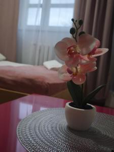 a vase of flowers sitting on a table at Sami Swoi Kutno in Kutno