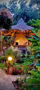 a house with an umbrella in a garden at Castaway on Mook in Ko Mook +69 photos