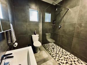 a bathroom with a toilet and a shower and a sink at 16 on Les De Jager in Pietermaritzburg +17 photos