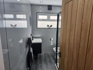a bathroom with a sink and a toilet and a window at 58 Clifton Rise in Abergele +18 photos