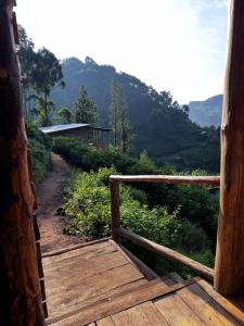 Naturlandskabet i nærheden af lodgen + 8 billeder