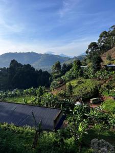 Naturlandskabet i nærheden af lodgen