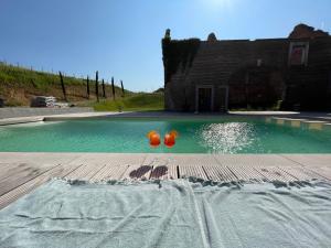 two orange balloons sitting on top of a swimming pool at EBURON estate Boutique B&B in Diets-Heur