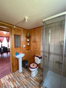 a bathroom with a shower and a toilet and a sink at Cabañas Mocopulli in Dalcahue