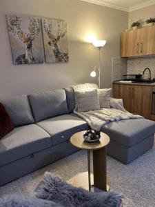 a living room with a blue couch and a table at Mátrai Kisház in Mátraszentimre +38 photos