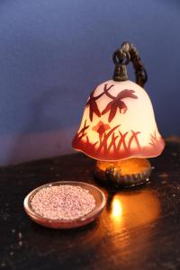 a lamp sitting on a table next to a plate at Guest House Ui-ca in Kanazawa