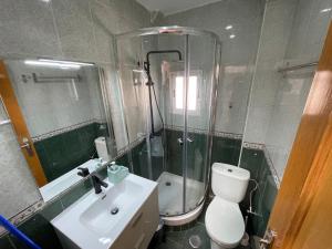 a bathroom with a shower and a toilet and a sink at Piso en Calle Albares De La Ribera in Madrid
