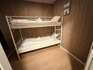 two bunk beds in a room with wooden walls at Finnvika panorama Cabin 2 in Vestvågøya