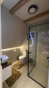 een badkamer met een toilet en een glazen douchecabine bij Air Cabin A2, A-frame Șerani, Bihor in Şerani
