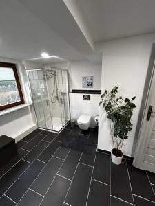 a bathroom with a shower and a toilet and a plant at Zwei schöne Ferienwohnungen in der Nähe von Winterberg in Rengershausen +22 photos