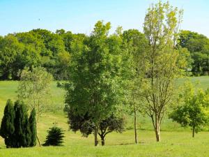 een groep bomen in een grasveld bij The Goyle-E4528 in Uplowman +12 foto's