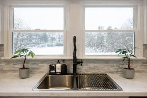 een gootsteen in de keuken met twee potplanten en twee ramen bij Cherry Blossom Lake House in Lake Peekskill