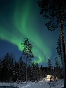 an aurora in the sky over a forest with trees at Palas Experience Olkkajärvi Resort in Rovaniemi