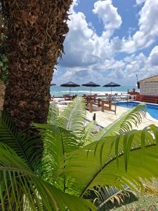 a palm tree next to a pool with tables and umbrellas at Pousada Porto Meu Amor in Porto De Galinhas